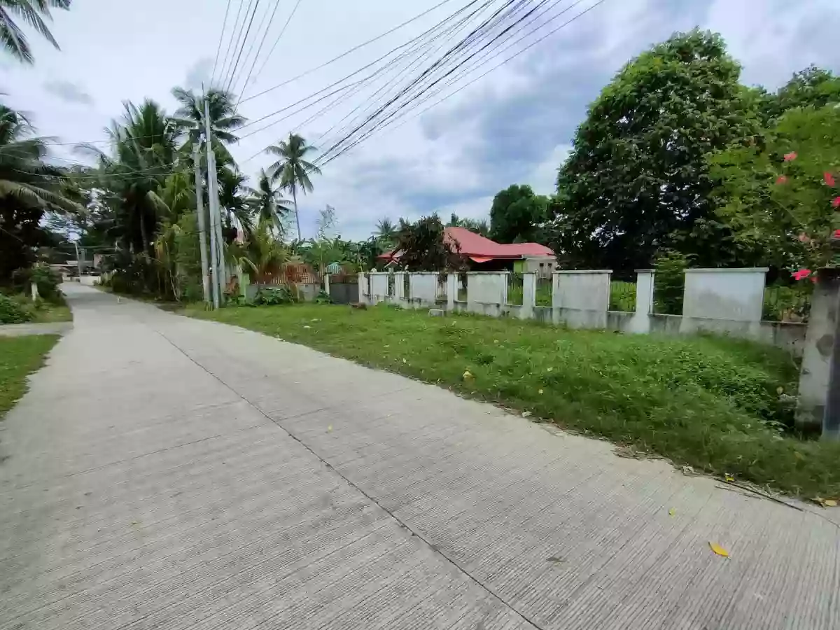 Lot for Sale in Batinguel, Dumaguete City, Negros Oriental