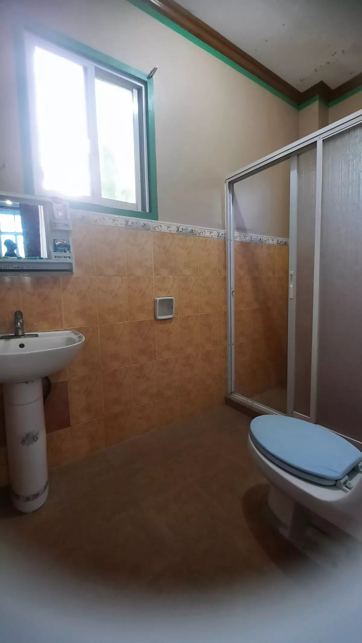 House and Lot for Rent in Dumaguete — House and Lot in Dumaguete, Negros Oriental, Philippines — Photo 3