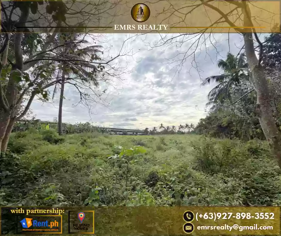 FOR SALE! 1 HECTARE FLAT FARM LOT IN AMADEO, CAVITE near Tagaytay — Agricultural Lot in Amadeo-Indang Road, Amadeo, Cavite — Photo 6