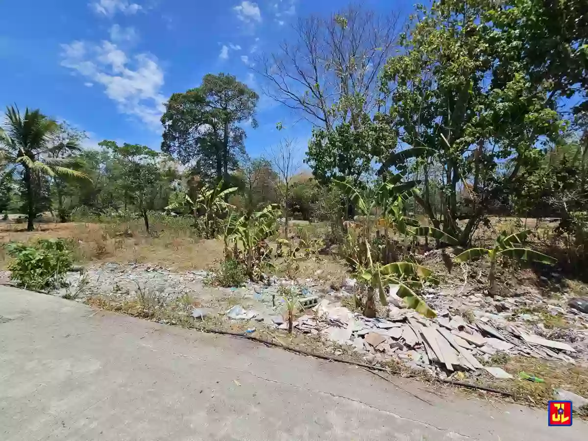 Commercial Lot For Sale Along Diversion Road Magatas, Sibulan [available] — Commercial Lot in Sibulan, Diversion Road, Sibulan — Photo 3
