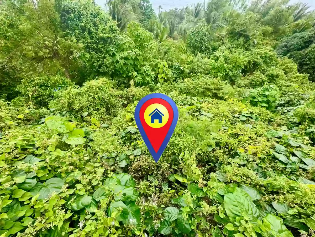 For Sale: Residential Lot in Santo Niño, San Jose — 1,311 sqm — Residential Lot in Negros Oriental, Philippines — Photo 5