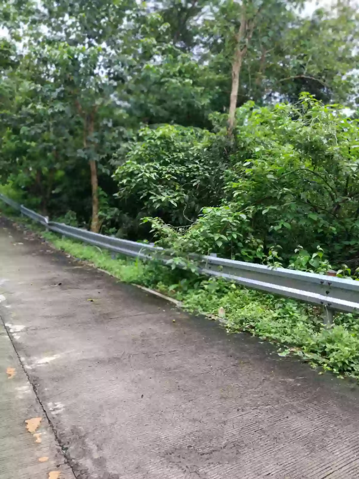 Beach Front Property For Sale (Sipalay) — Beach Lot in Sipalay City, Negros Occidental, Philippines — Photo 4