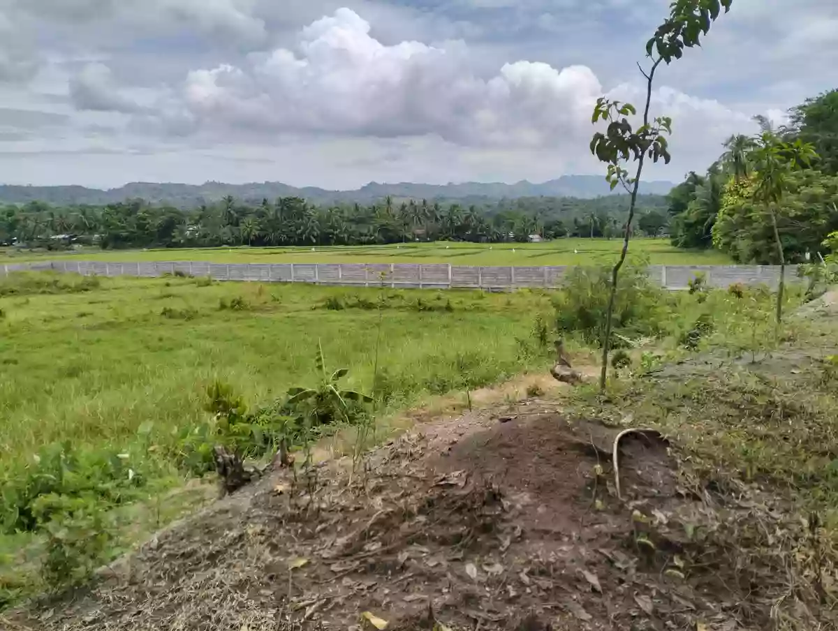 1 hectare Land for rent — Agricultural Lot in National Highway, Koronadal City, South Cotabato — Photo 6