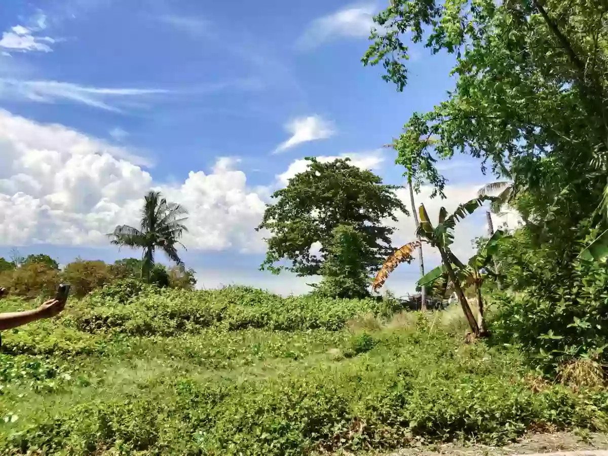 Beach Lot in Dumanjug — Beach Lot in Philippines — Photo 4