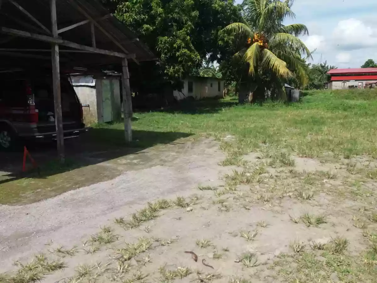 Residential lot — Residential Lot in Silay City, Negros Occidental, Philippines — Photo 5