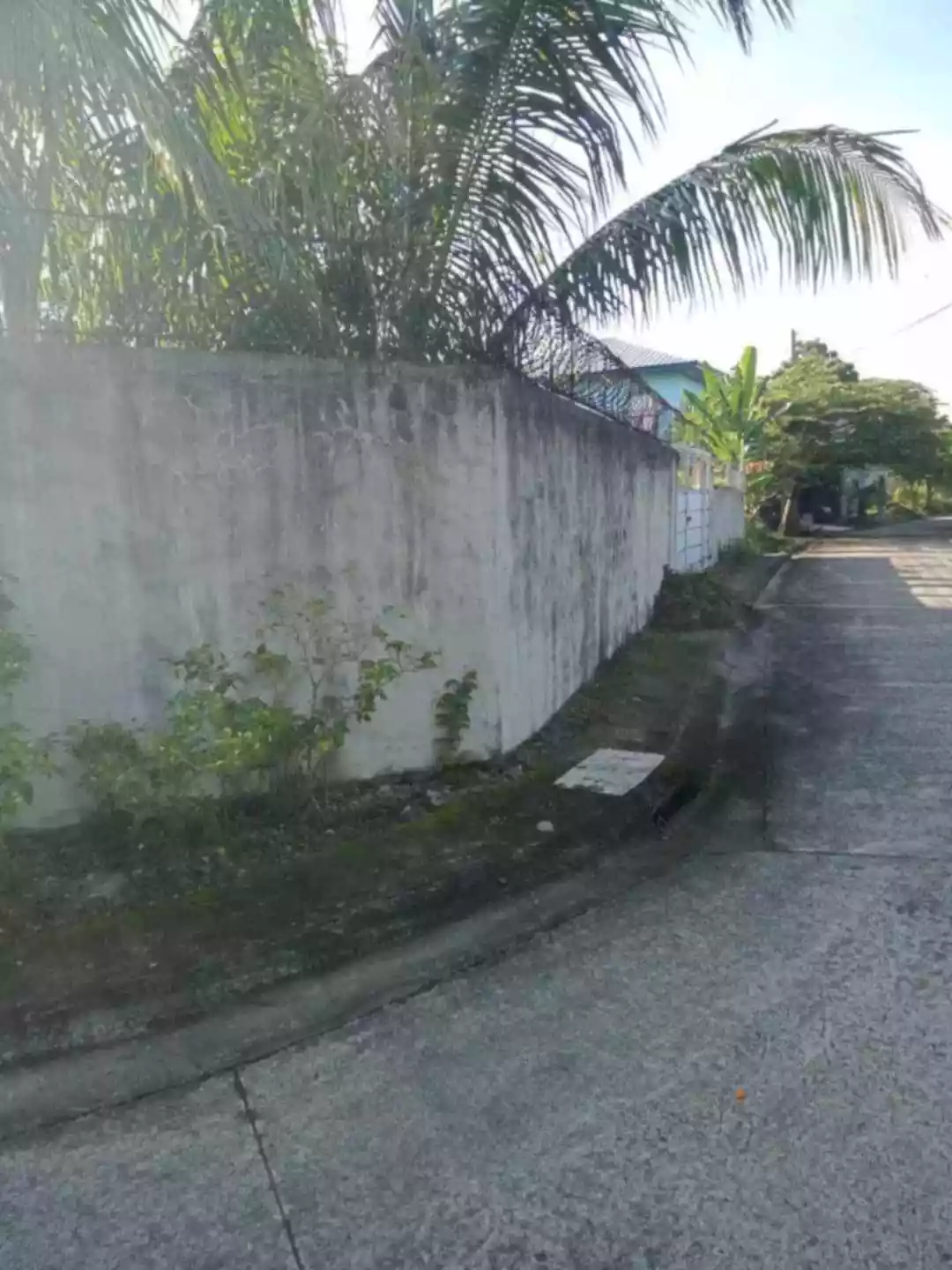 Lot For Sale at Talisay City — Residential Lot in Talisay City, Negros Occidental, Philippines — Photo 6