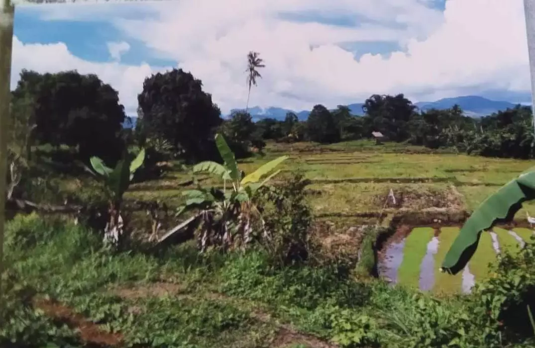 ORMOC FARM LOT FOR SALE — Agricultural Lot in Ormoc City, Leyte, Philippines — Photo 7