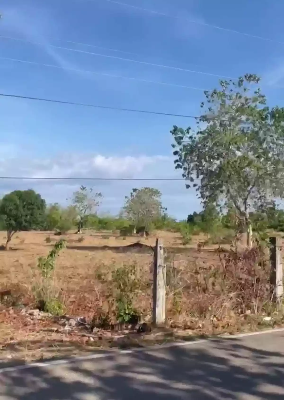 Prime Beachfront Lot for Sale 