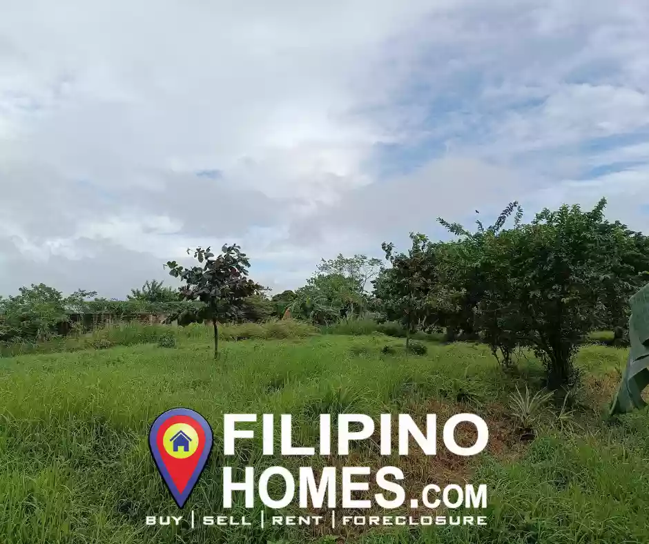 Lot For Sale in Lucena City clean title, Good for Residential/Apartment/mini-resort 4mins ride to SM Lucena — Agricultural Lot — Photo 2