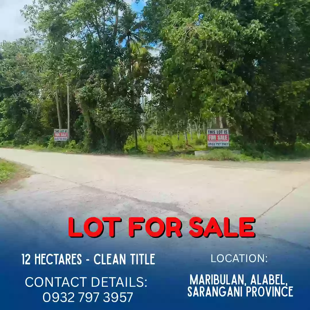 ALABEL LOT FOR SALE (12 HECTARES) — Residential Lot in Alabel, Sarangani, Philippines — Photo 3