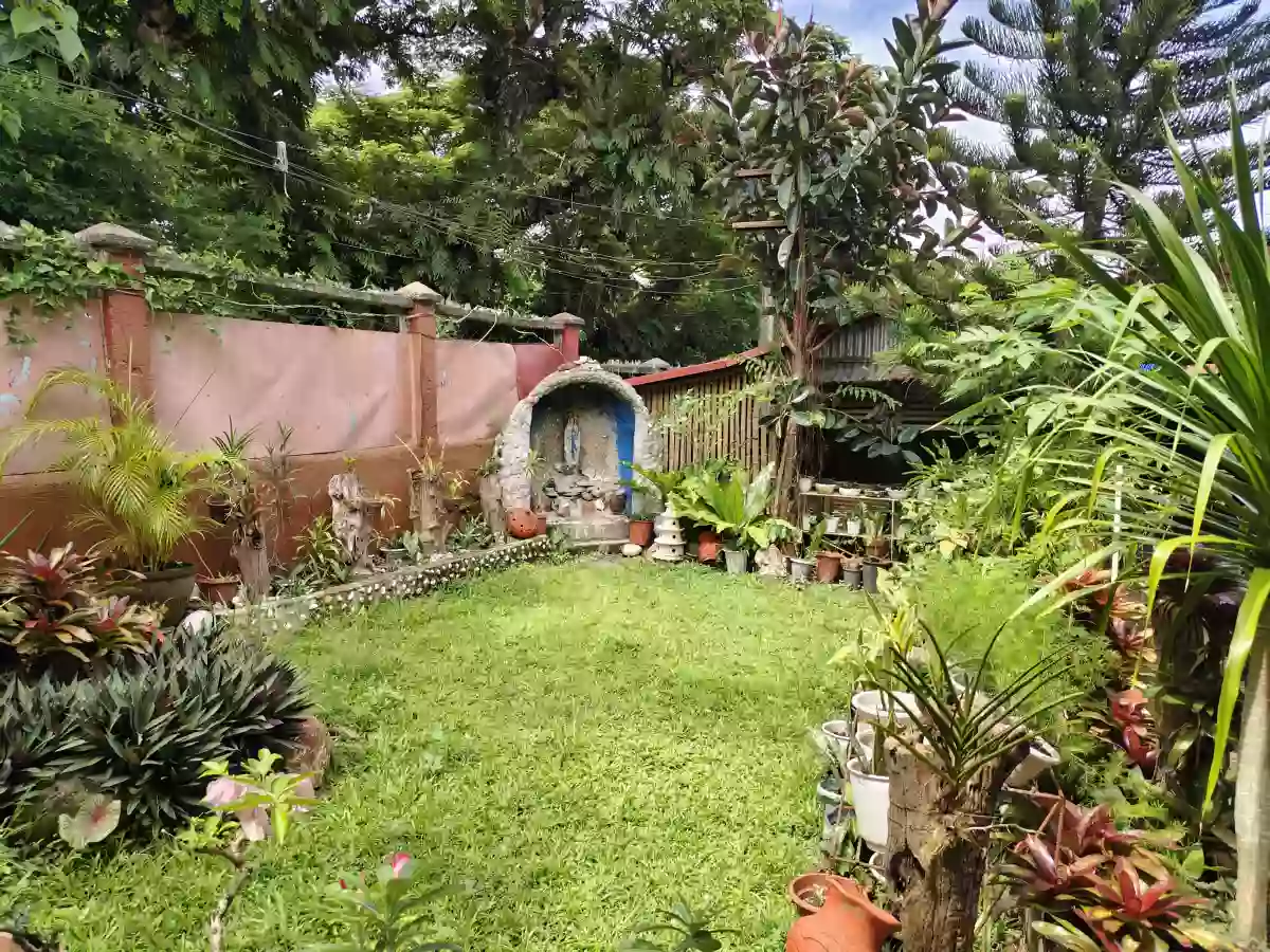 House and Lot Near Bacolod Adventist Medical Center — House and Lot in Bacolod City, Negros Occidental, Philippines — Photo 3