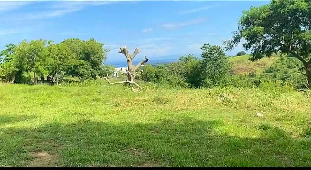 Clean Title Lot For Sale in Maningcao,Sibulan,Negros Oriental — Residential Lot in Negros Oriental, Philippines — Photo 2