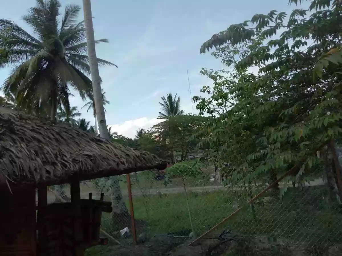 7M LOT FOR SALE IN TAGUM — Residential Lot in Bansalan, Davao del Sur, Davao — Photo 3