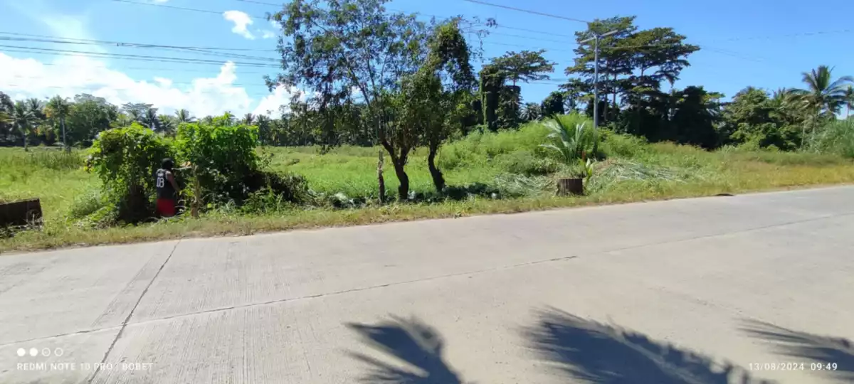 Prime AgriLand — Agricultural Lot in Butuan City, Agusan Del Norte, Philippines — Photo 4