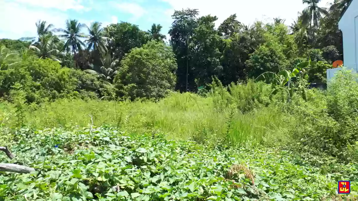 Rush Sale Commercial Property in Tanjay City [available] — Commercial Lot in Negros Oriental, Philippines — Photo 4