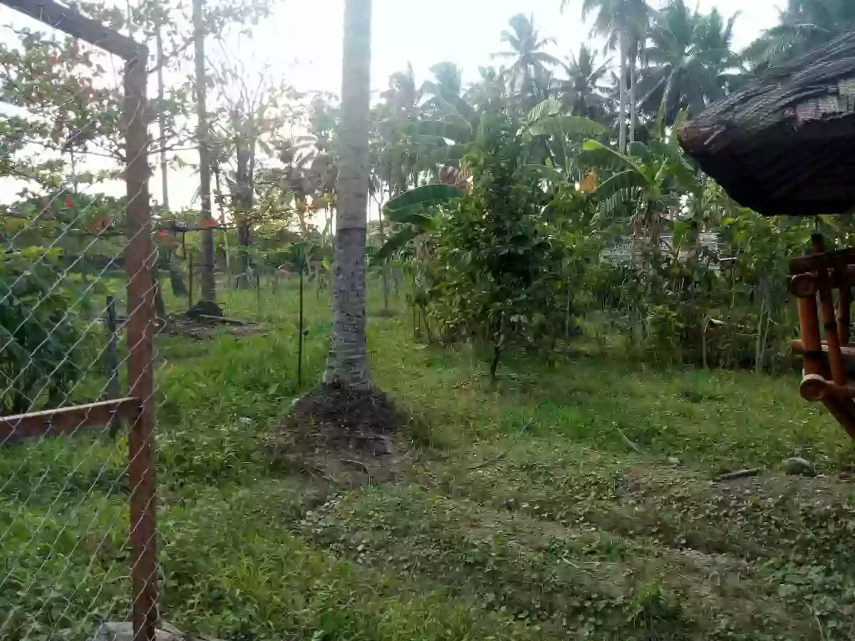 7M LOT FOR SALE IN TAGUM
