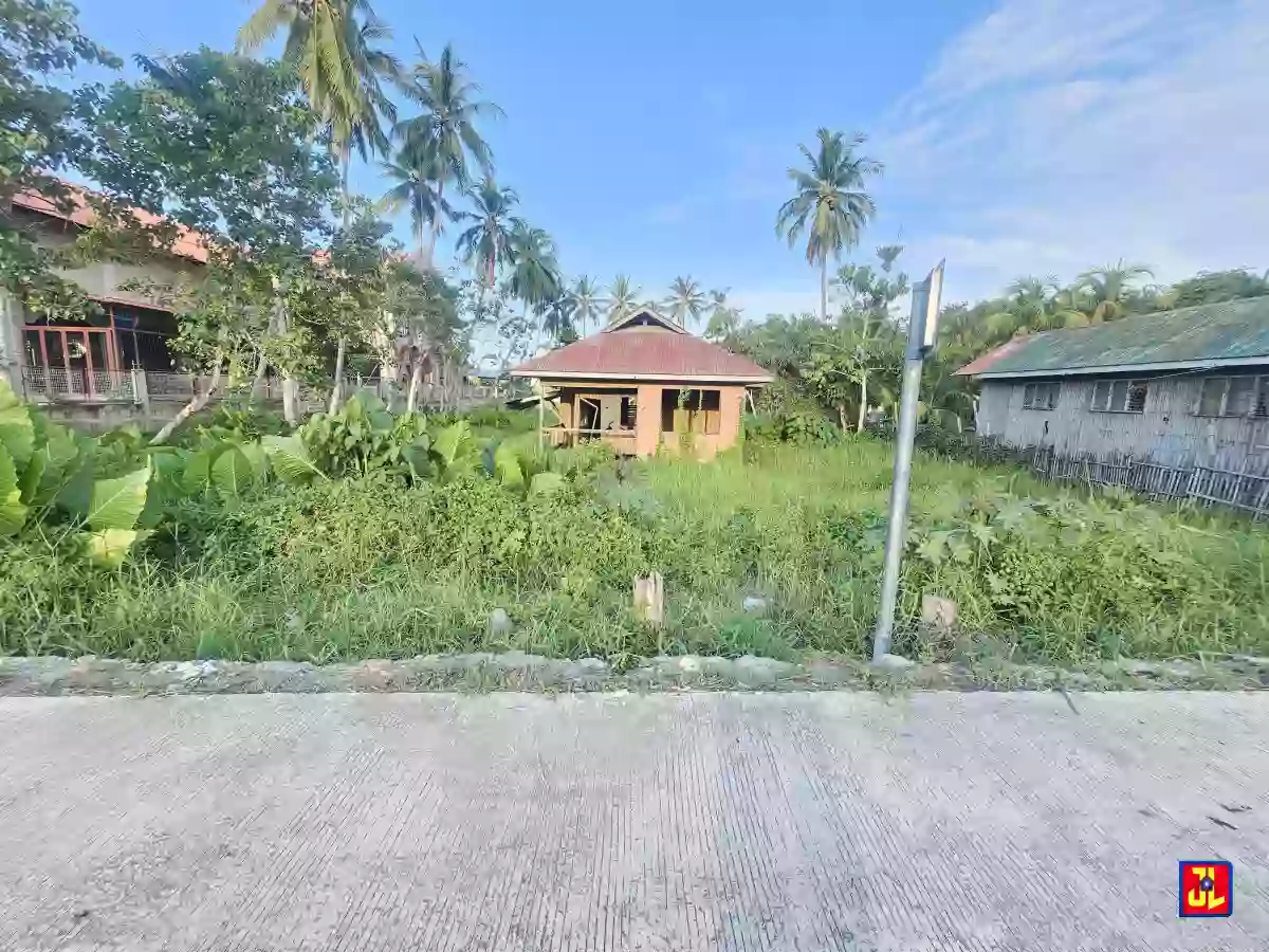 Amazing Sale! National Highway Commercial Lot in Banilad, Bacong! [available] — Commercial Lot in Dumaguete, Negros Oriental, Philippines — Photo 2