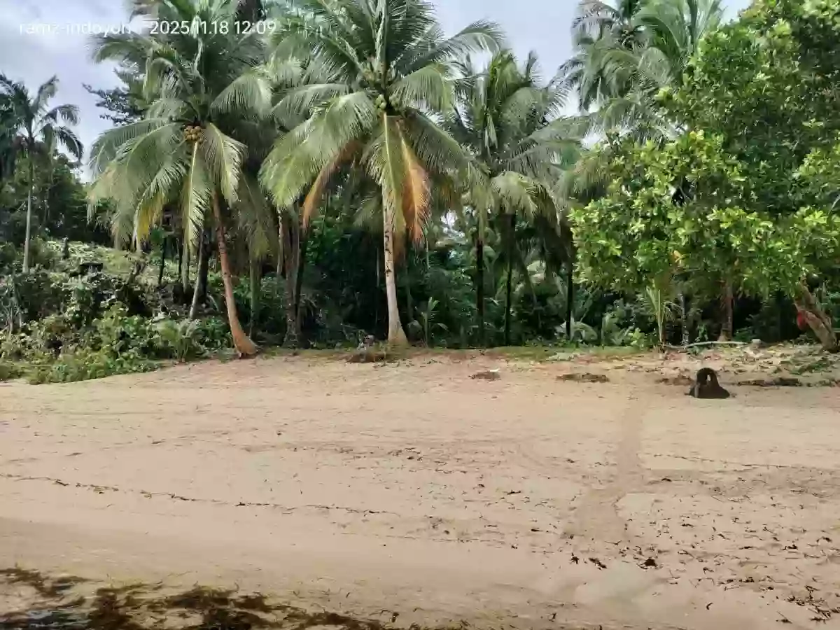 Beach Property in Hinatuan, Surigao. — Beach Lot in Surigao del Sur, Philippines — Photo 3