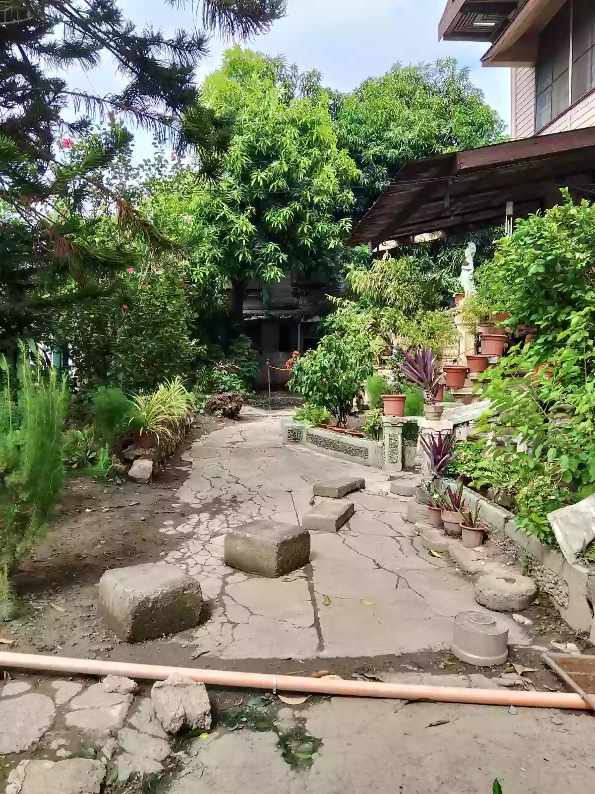 Lot for Sale with Old House in Cebu City — Residential Lot in Cebu City, Cebu, Philippines — Photo 4