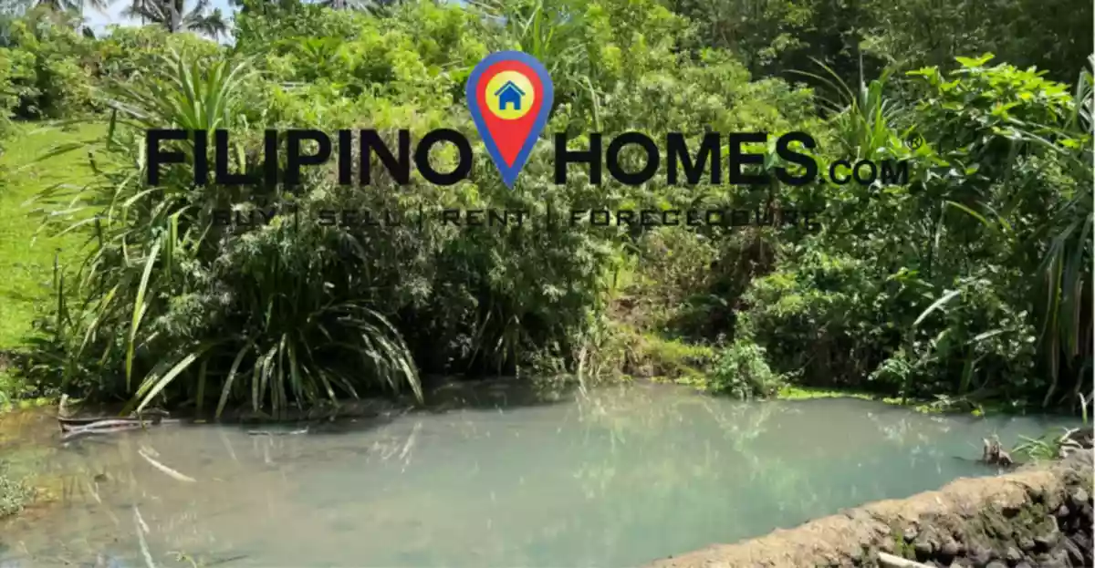 Lot for Sale with  300 meters of road frontage along the national road — Agricultural Lot in Albay, Philippines — Photo 6