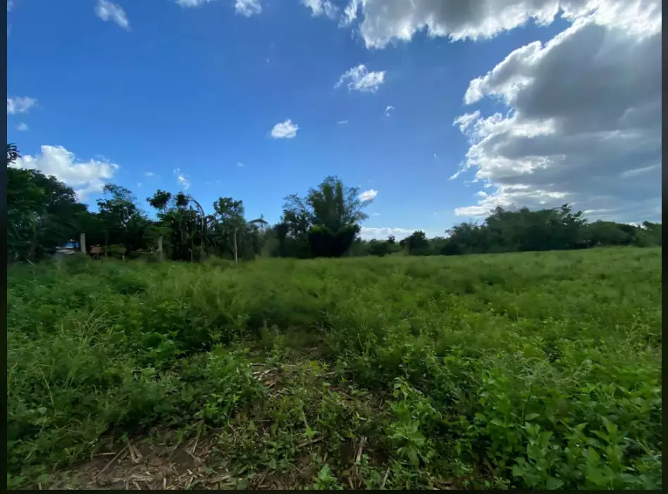 Cararayan Agricultural Lot For Sale