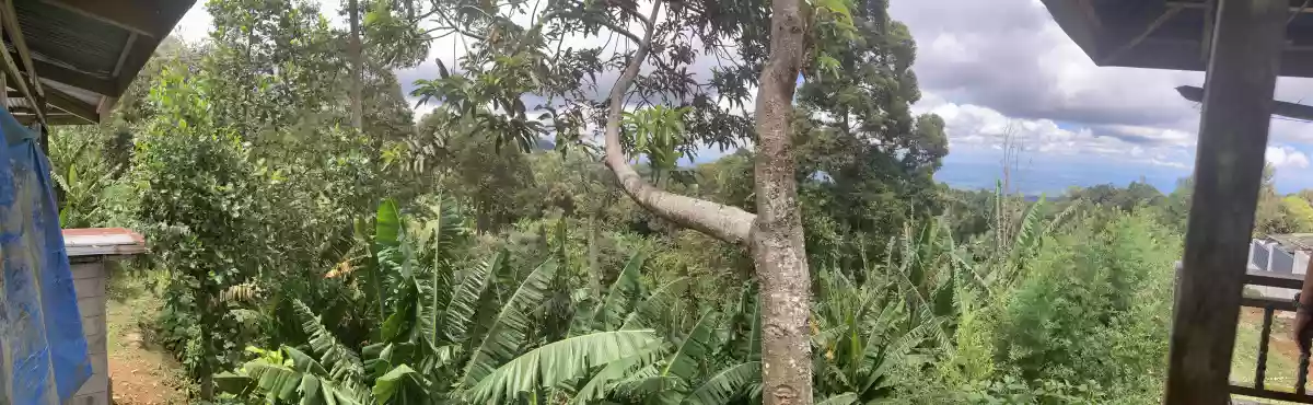 LOT FOR SALE IN SIRAWAN TORIL — Residential Lot in Toril, Davao City, Davao del Sur — Photo 3