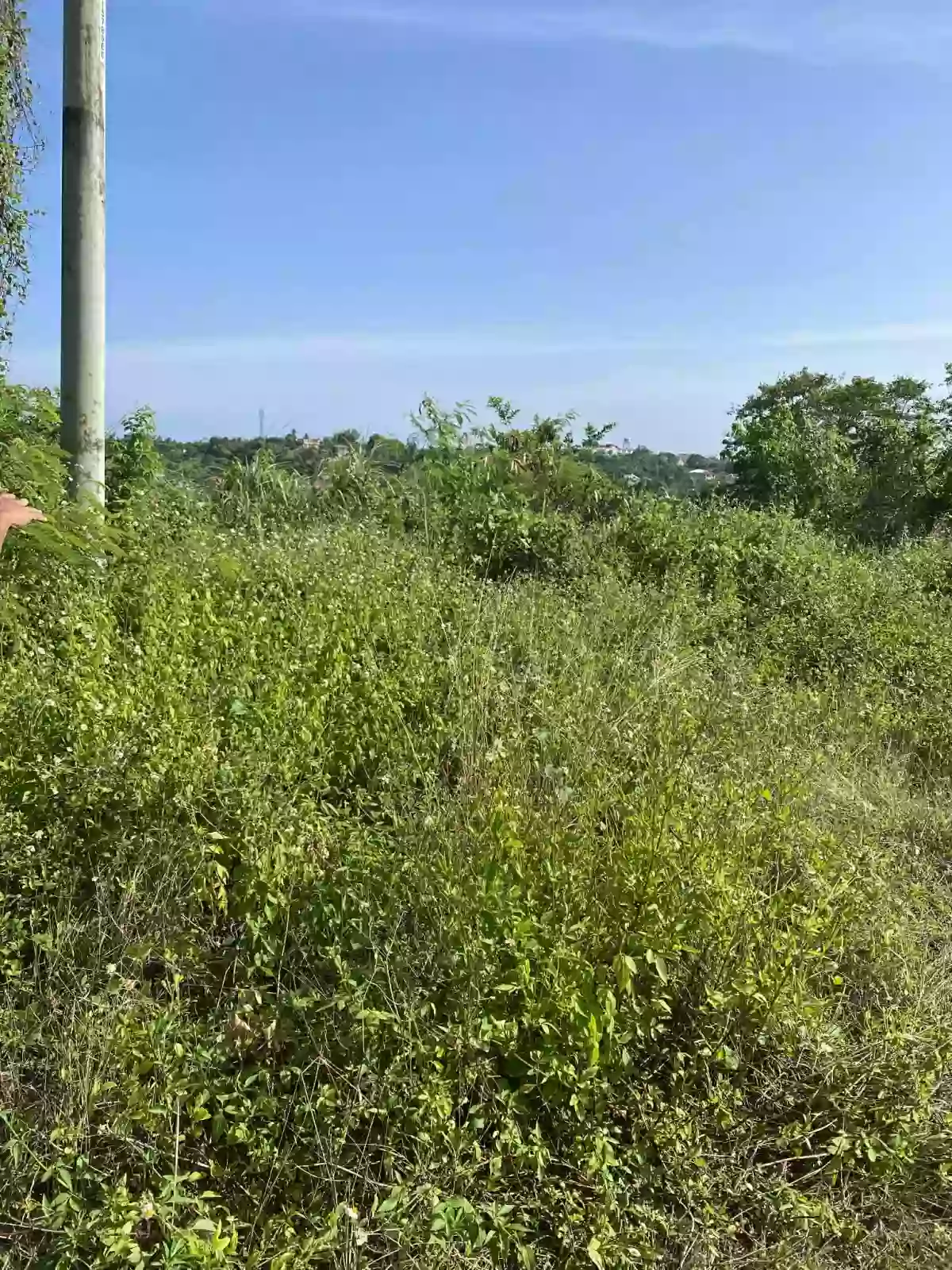 200 sq mt LOT FOR SALE – El Monte Grande Heights — Residential Lot in Liloan, Cebu, Philippines — Photo 7