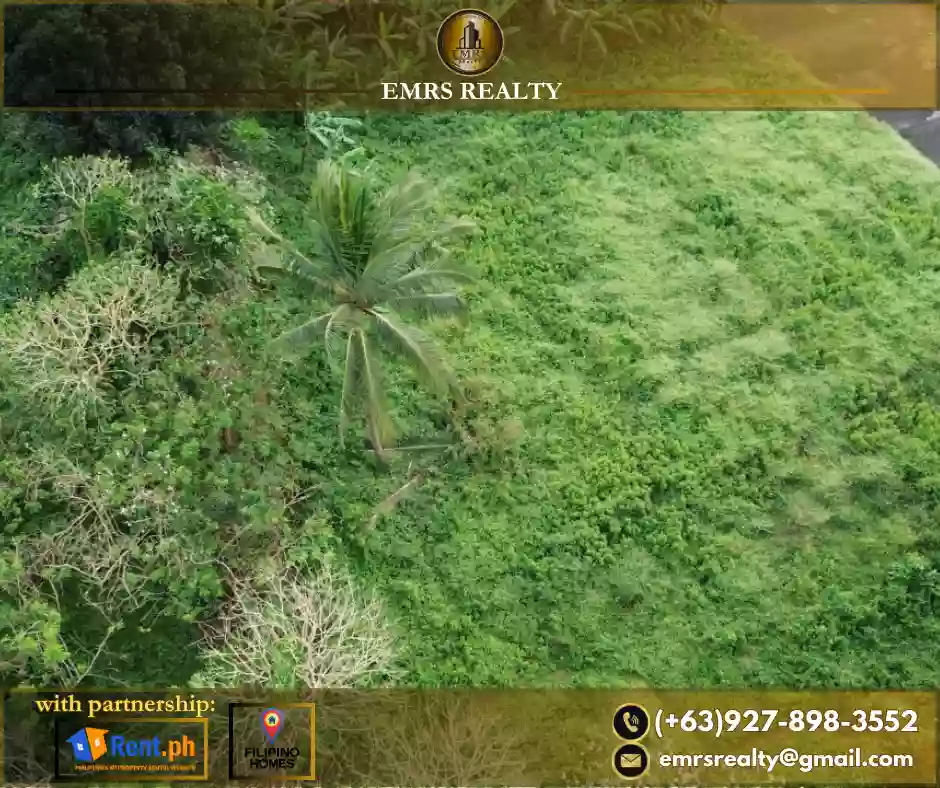 FOR SALE! 1 HECTARE FLAT FARM LOT IN AMADEO, CAVITE near Tagaytay