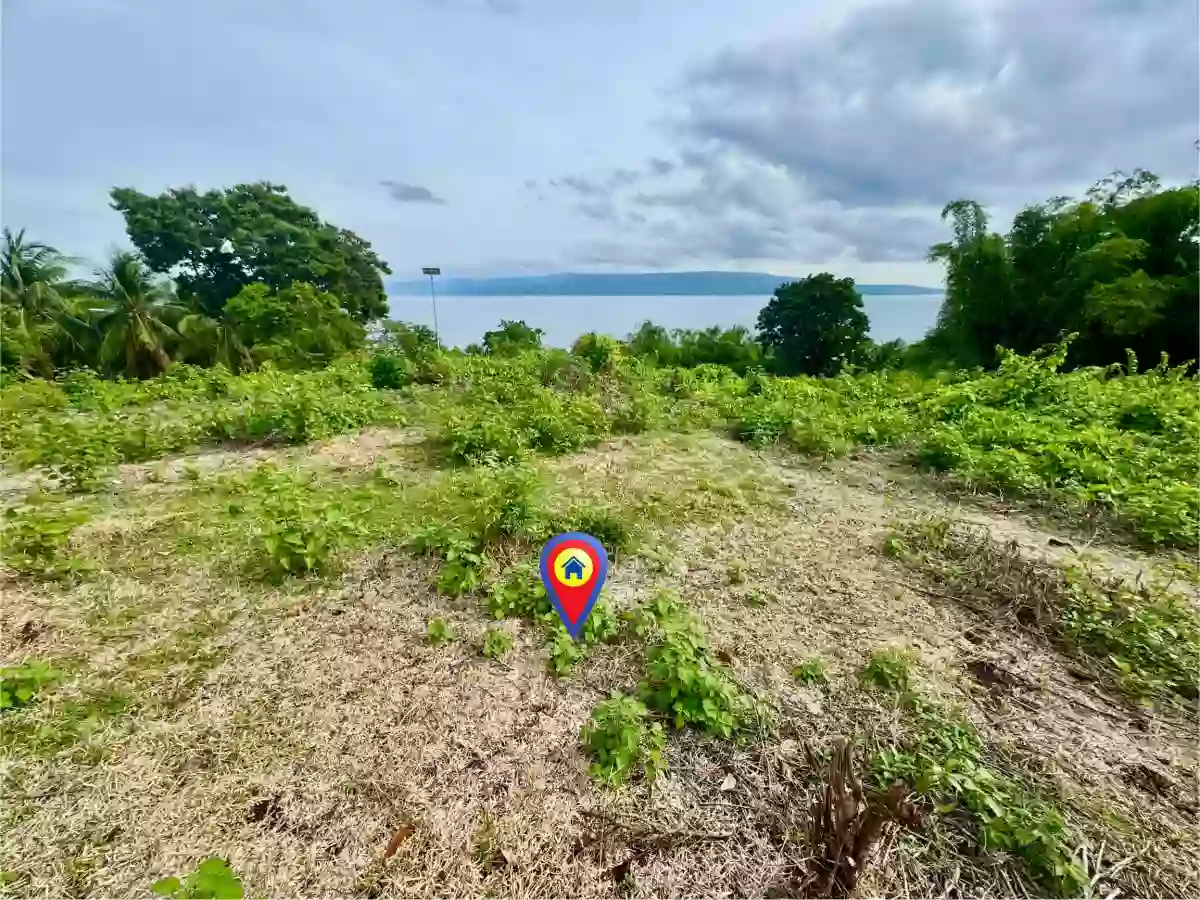 Overlooking Lot For Sale at San Jose, Negros Oriental