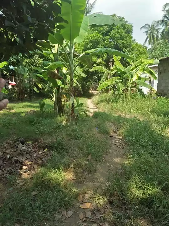Now down to 1.8M! For SALE Residential lot in Cotcot, Liloan — Residential Lot in Cebu, Philippines — Photo 7