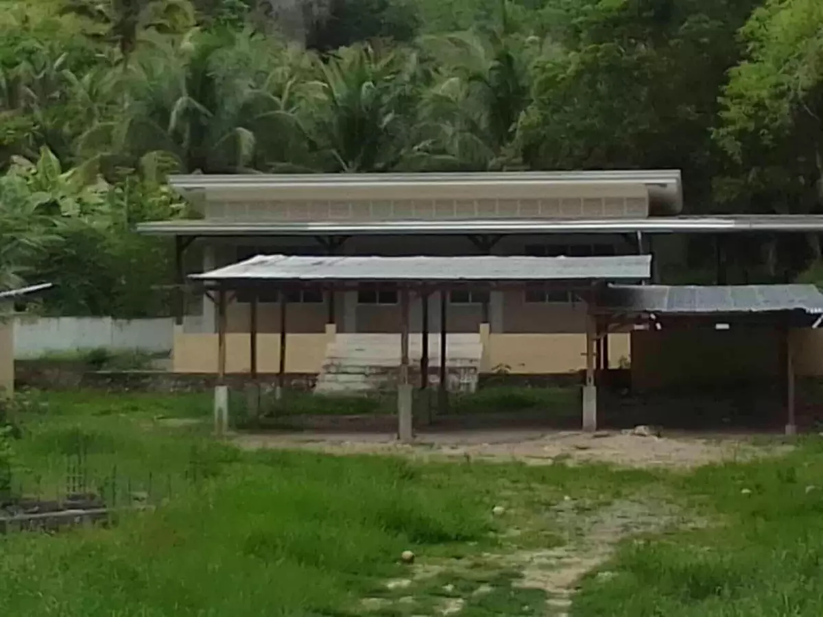 4,934 sqm Prime Lot with Ocean View & Highway Frontage in Badian, Cebu (Near Kawasan Falls) — House and Lot in Badian, Cebu, Philippines — Photo 5