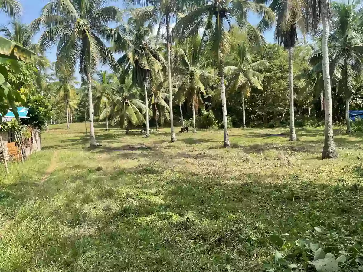 LOT FOR SALE SAMAL ISLAND — Residential Lot in Samal, Davao del Norte, Philippines — Photo 6