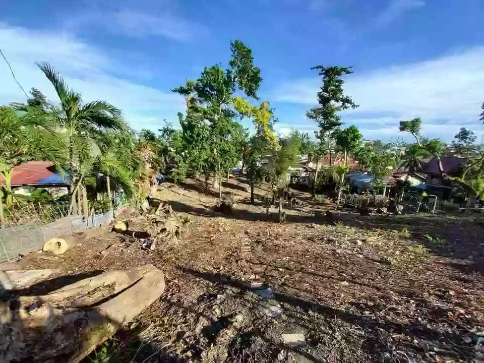 Consolacion Lot Only for Sale — Residential Lot in Consolacion, Cebu, Philippines — Photo 3
