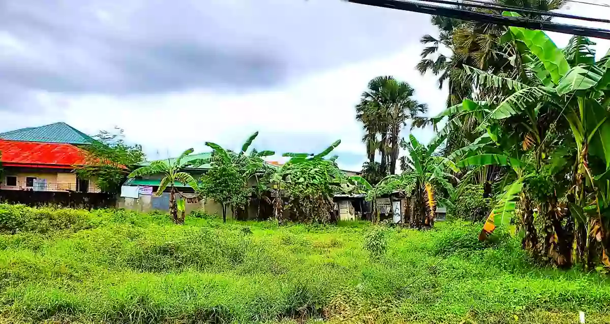 Corner Lot For Sale in Liloan, Cebu! — Residential Lot in Liloan, Cebu, Philippines — Photo 4