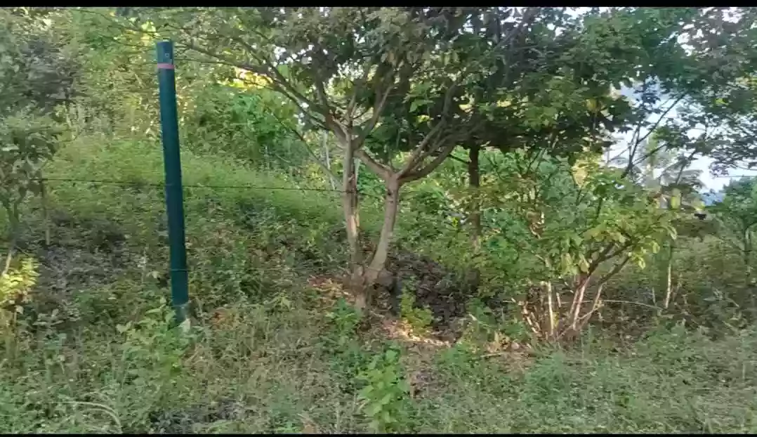 Exclusive Beachfront Property in Samal: Your Private Paradise Awaits — Beach Lot in Island Garden City of Samal, Davao del Norte, Philippines — Photo 6