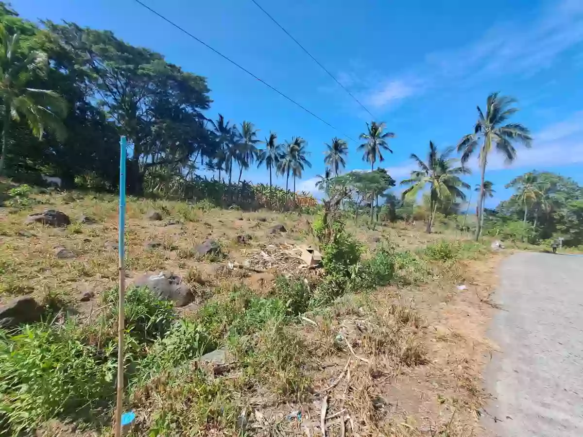 FOR SALE: 1,110 SQM Residential Lot Tierra Alta, Palinpinon, Valencia — Residential Lot in Valencia, Negros Oriental, Philippines — Photo 3