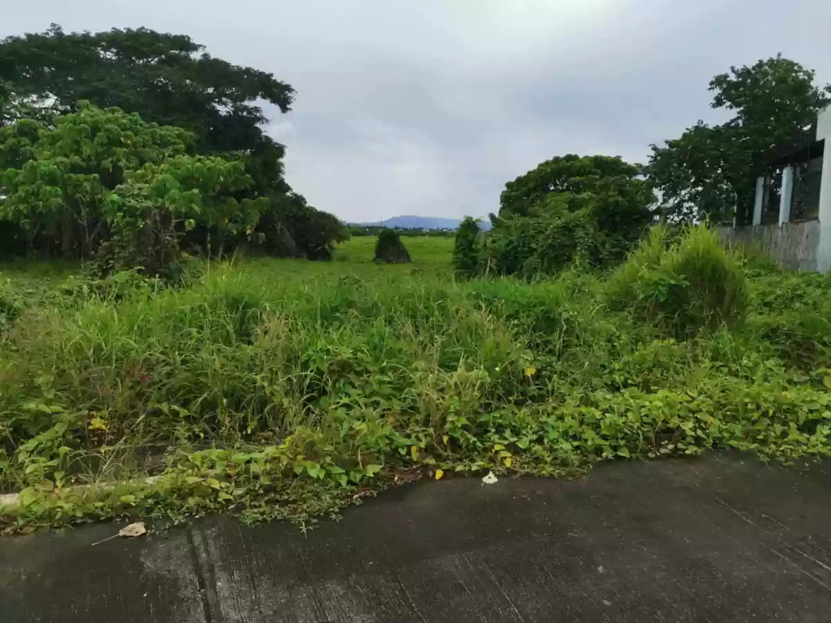 RESIDENTIAL LOT — Residential Lot in Naga, Camarines Sur, Philippines — Photo 2