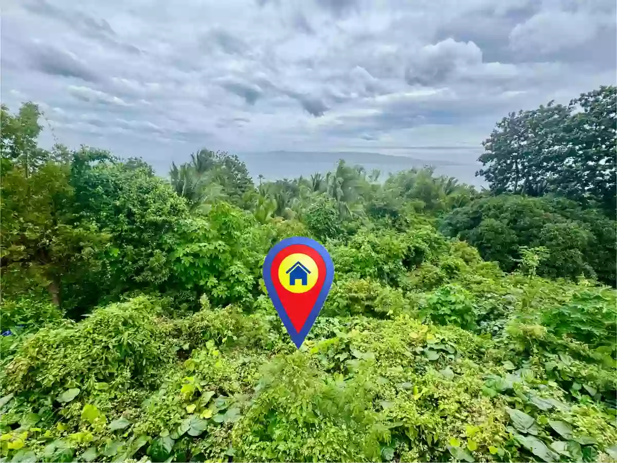 For Sale: Residential Lot in Santo Niño, San Jose — 1,311 sqm — Residential Lot in Negros Oriental, Philippines — Photo 2