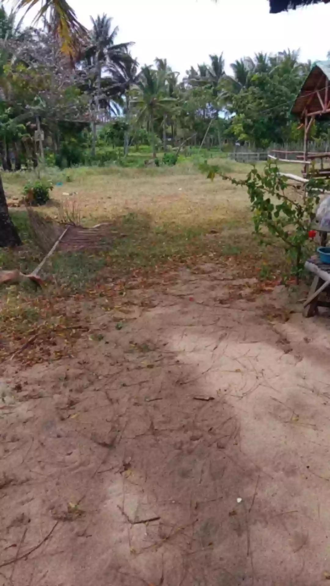 Beach Lot/White Sand Beach — Beach Lot in Guimaras, Philippines — Photo 2