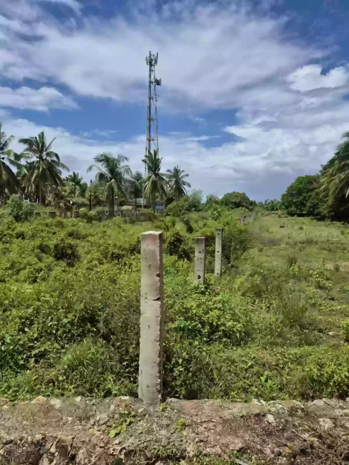 Own a Piece of Paradise – Beach Lot for Sale!