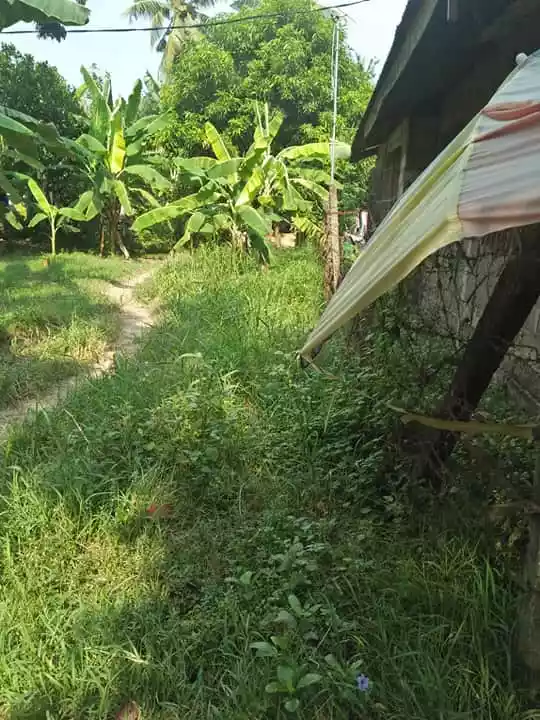 Now down to 1.8M! For SALE Residential lot in Cotcot, Liloan — Residential Lot in Cebu, Philippines — Photo 5