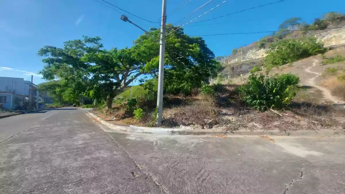 Residential lot for sale — Residential Lot in Consolacion, Consolacion, Cebu — Photo 2