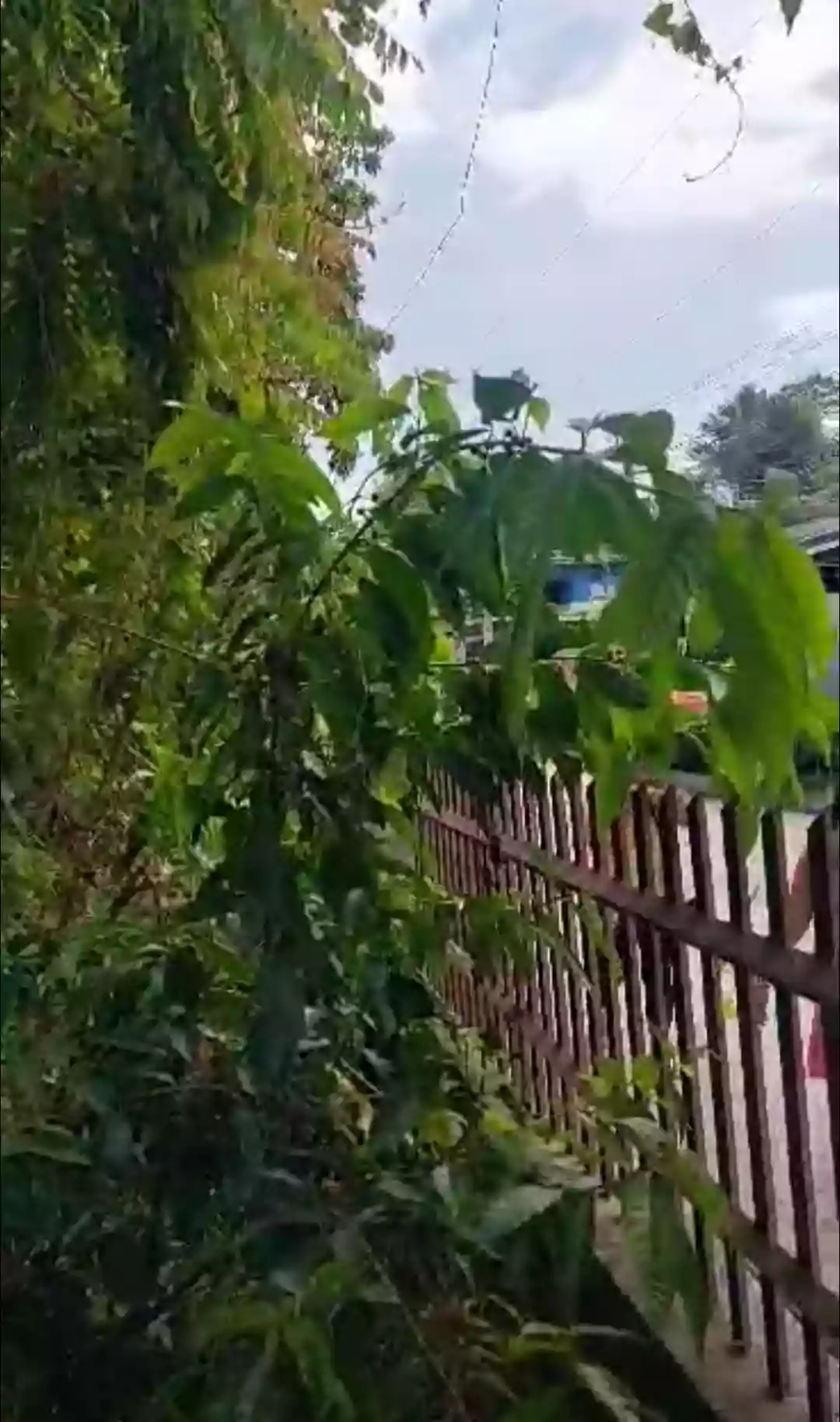 Residential or Commercial Lot 