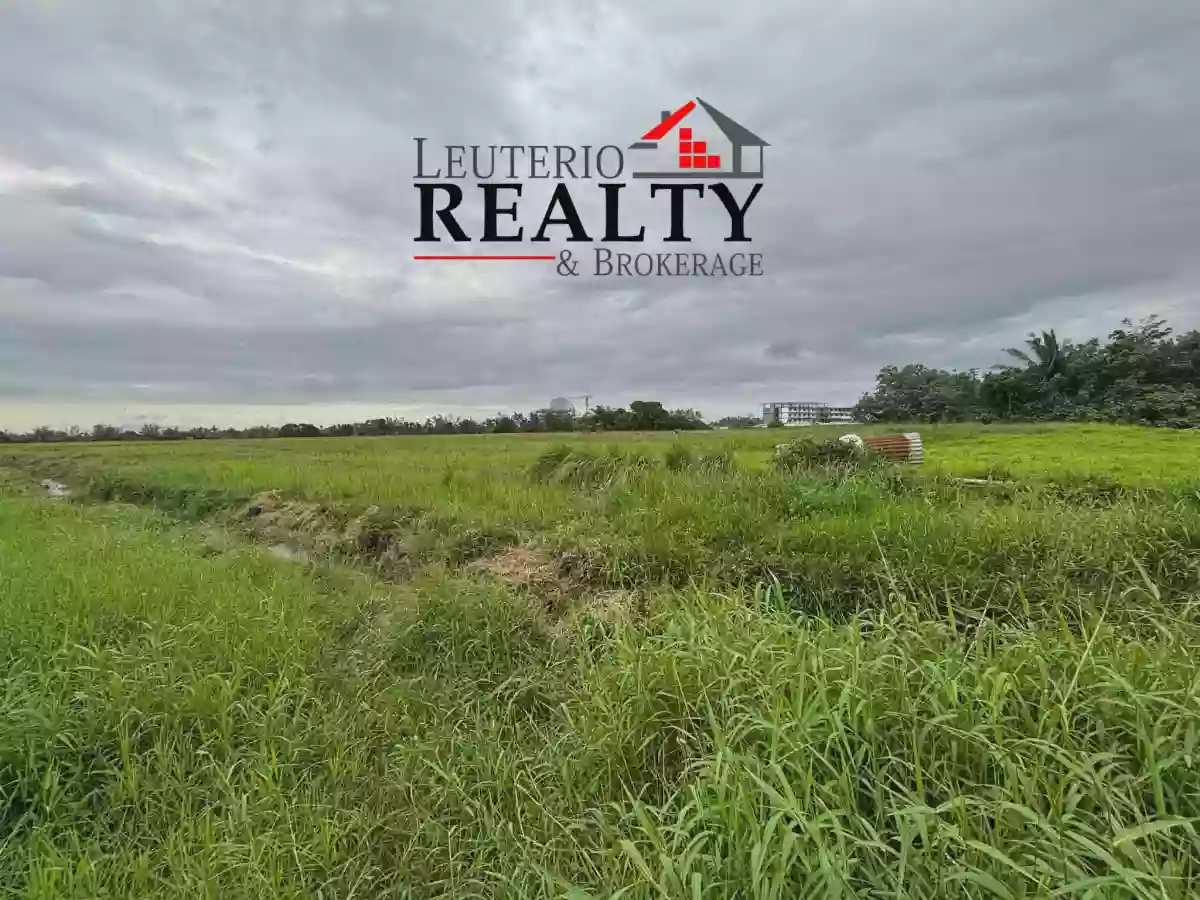 Lot For Sale in Pili CamSur! — Agricultural Lot in San Jose, Pili, Camarines Sur — Photo 3