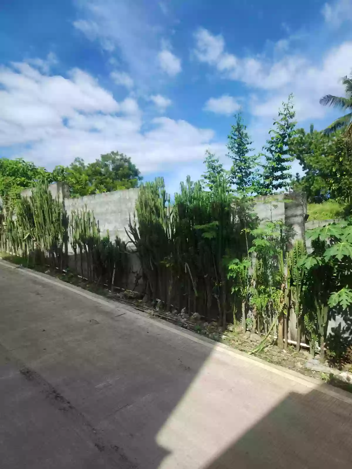 CONSOLACION LOT FOR SALE! — Residential Lot in Consolacion, Cebu, Philippines — Photo 5