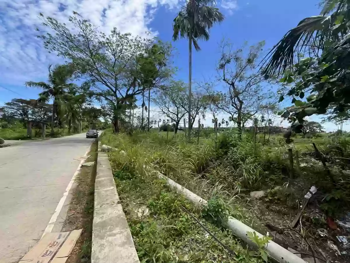 1.7 Hectare Agricultural Lot for Sale [TAX DEC] — Agricultural Lot in Liloan, Cebu, Philippines — Photo 5