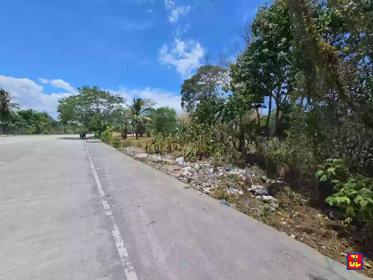 Commercial Lot For Sale Along Diversion Road Magatas, Sibulan [available] — Commercial Lot in Sibulan, Diversion Road, Sibulan — Photo 2