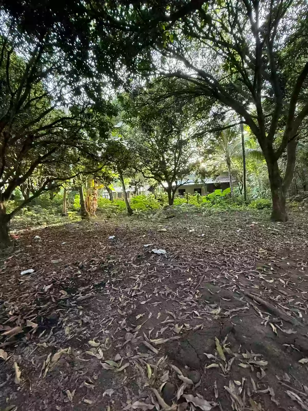 LOT FOR SALE – PRIME LOCATION IN TALAY, DUMAGUETE CITY — Residential Lot in Negros Oriental, Philippines — Photo 5