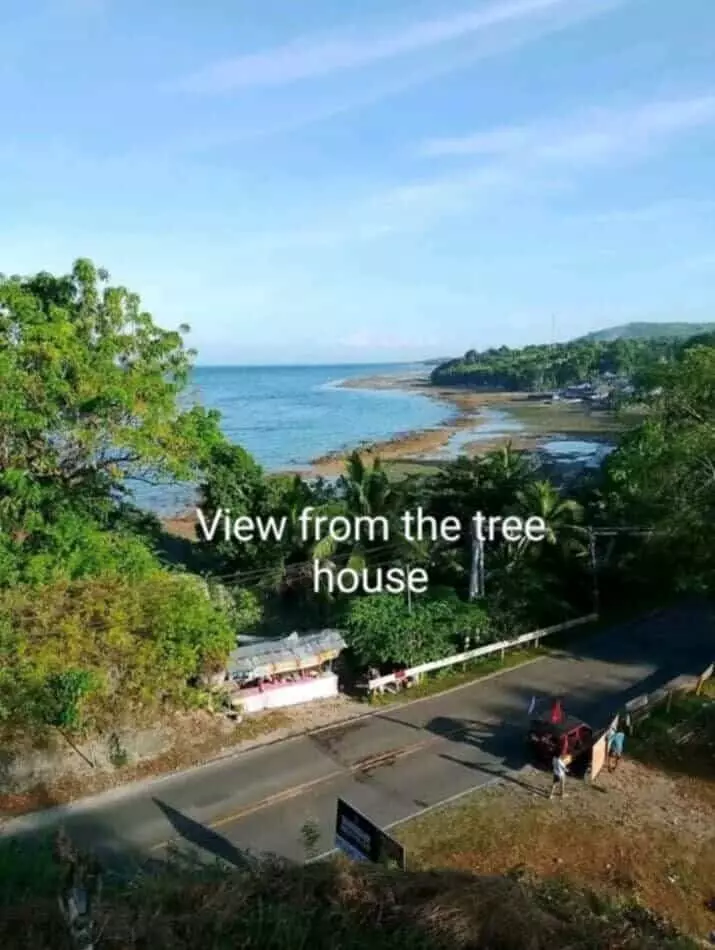 4,934 sqm Prime Lot with Ocean View & Highway Frontage in Badian, Cebu (Near Kawasan Falls) — House and Lot in Badian, Cebu, Philippines — Photo 3