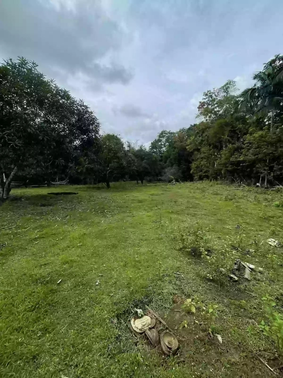CORELLA FARM LOT — Agricultural Lot — Photo 3